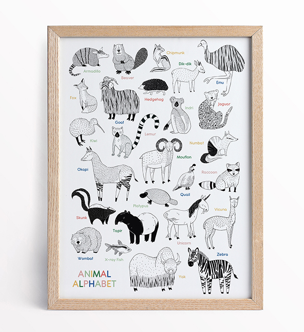 Animal Alphabet poster showing not your usual animals but interesting and rare creatures like armadillo, okapi, platypus or wombat. Combining educational purposes with playfulness, this black and white poster with colourful letters is perfect for nurseries, school classes and any other children spaces.